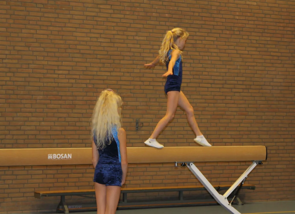 Gymvereniging Excelsior-Alkemade Recreatie Meisjes